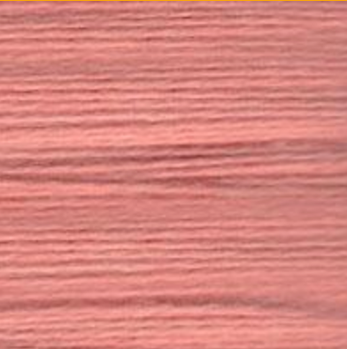 Essentials 501 by Planet Earth Fibers