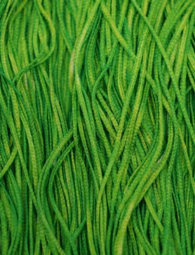 Soie Tissée by Silk Road Fibers 120 - 655