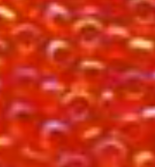 Seed Bead 11 by Sundance Designs