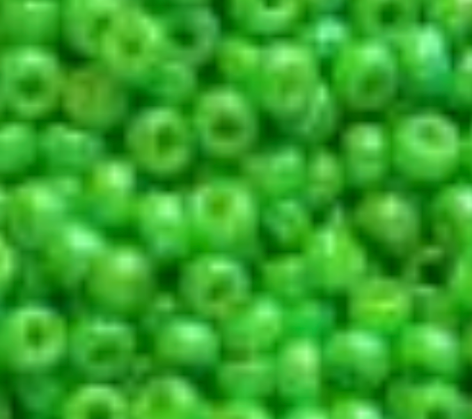 Seed Bead 11 by Sundance Designs