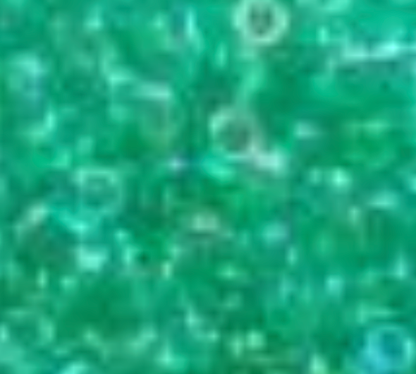 Seed Bead 11 by Sundance Designs