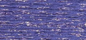Silk Lame Petite SP168 -  SP300 by Rainbow Gallery