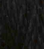 Thirteen Silk by Wiltex 3001-3125