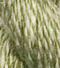 Thirteen Silk by Wiltex 3126-3242