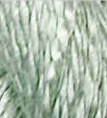 Thirteen Silk by Wiltex 3126-3242