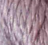 Thirteen Silk by Wiltex 3126-3242